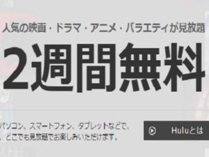 2週間のお試し